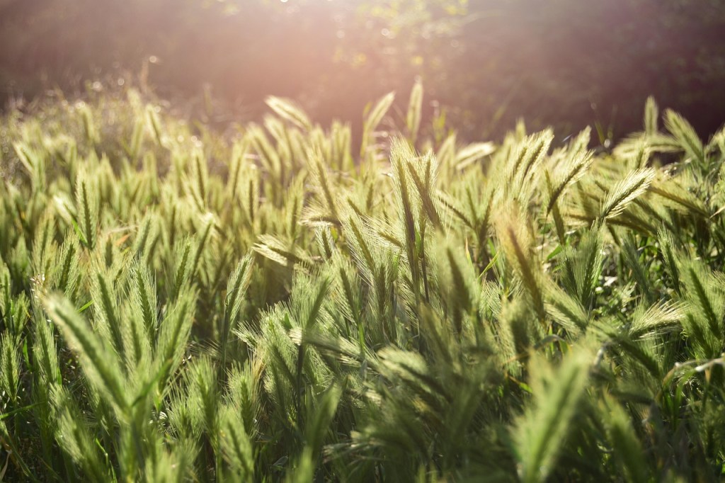 This Temporary Silence